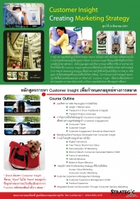 Customer Insight Creating Marketing Strategy