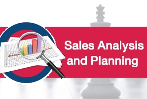 Sales Analysis and Planning Program