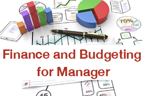 Finance and Budgeting for Manager