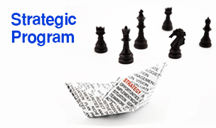 Strategic Program ©
